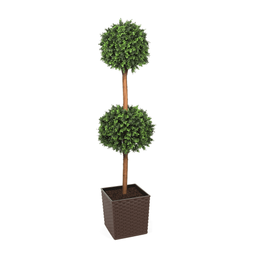 Deluxe Double Boxwood Ball Topiary Tree From Evergreen Direct