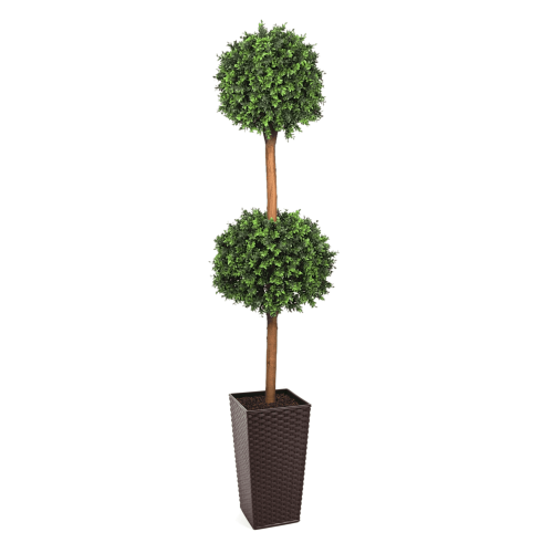 Deluxe Double Boxwood Ball Topiary Tree From Evergreen Direct