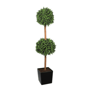 Deluxe Double Boxwood Ball Topiary Tree From Evergreen Direct