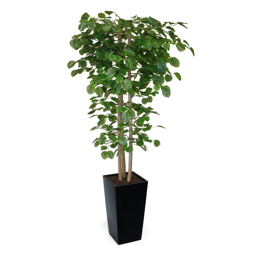 Artificial Hand Made Beech Tree | Evergreen Direct