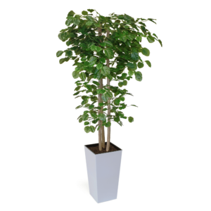 Artificial Hand Made Beech Tree | Evergreen Direct