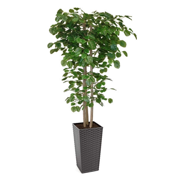 Artificial Hand Made Beech Tree | Evergreen Direct