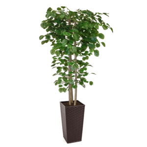 Artificial Hand Made Beech Tree | Evergreen Direct