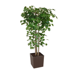 Artificial Hand Made Beech Tree | Evergreen Direct