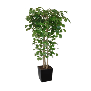 Artificial Hand Made Beech Tree | Evergreen Direct