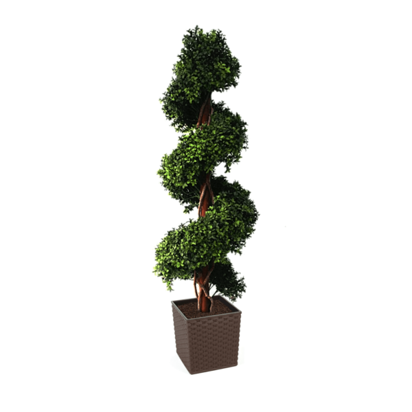 Large Artificial Buxus Spiral from Evergreen Direct