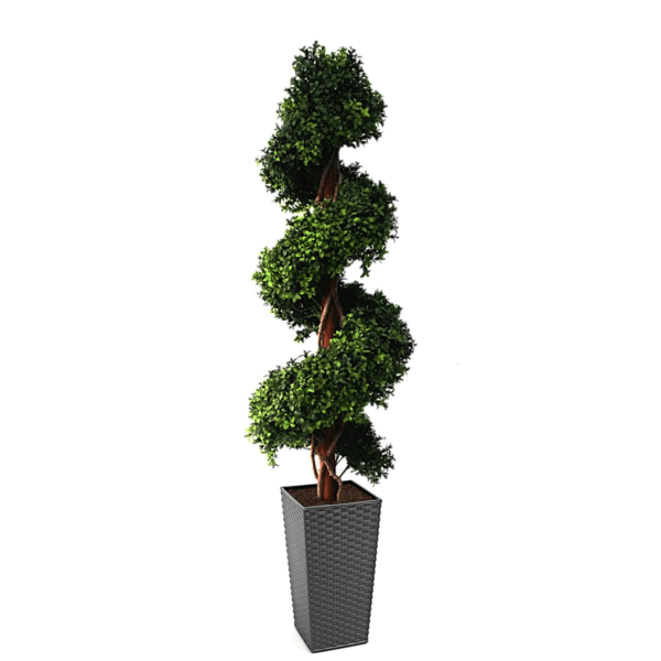 Large Artificial Buxus Spiral from Evergreen Direct