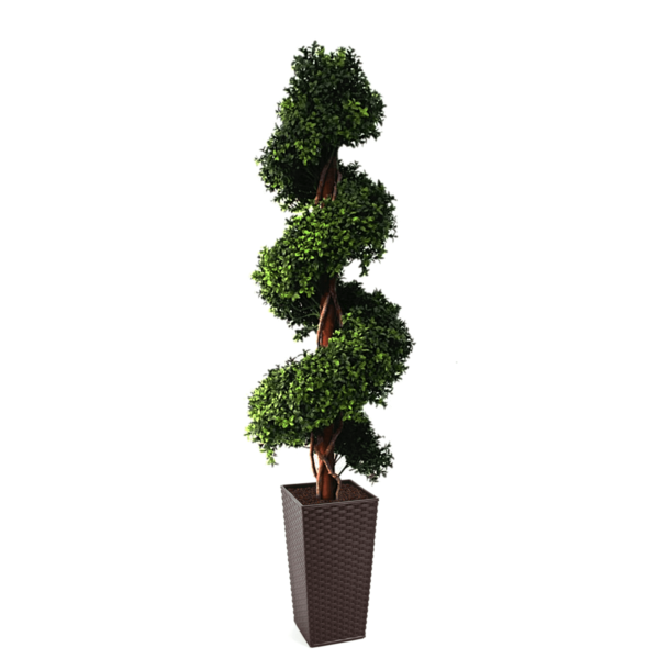 Large Artificial Buxus Spiral from Evergreen Direct