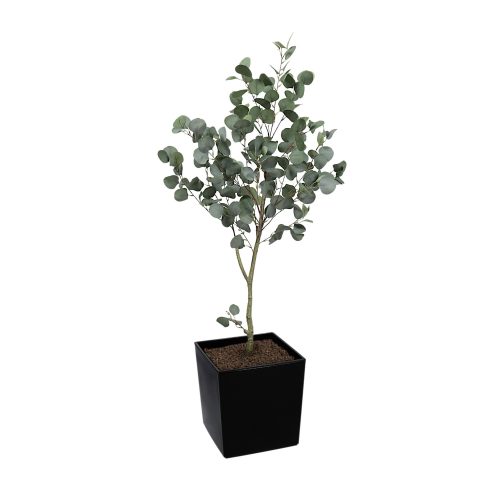 #1 for Artificial Eucalyptus Trees | Evergreen Direct