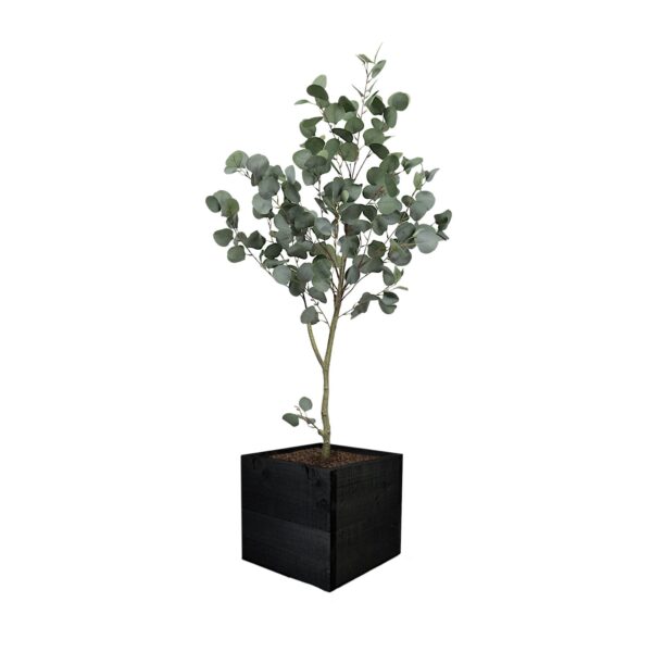 #1 for Artificial Eucalyptus Trees | Evergreen Direct