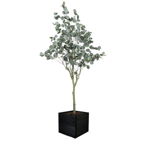 #1 for Artificial Eucalyptus Trees | Evergreen Direct