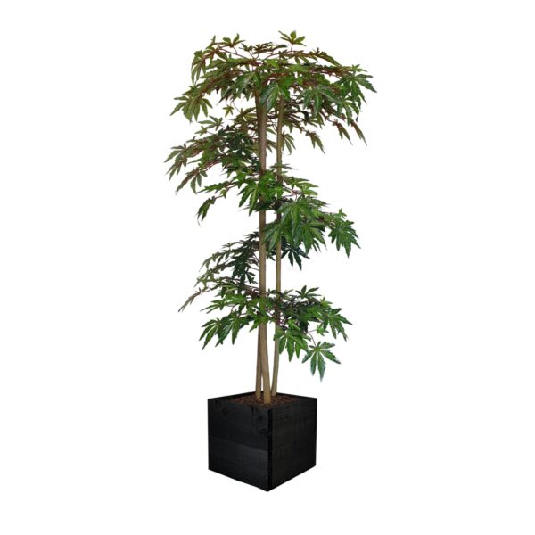 Artificial Hand Made Green Maple Tree Spiral | Evergreen Direct