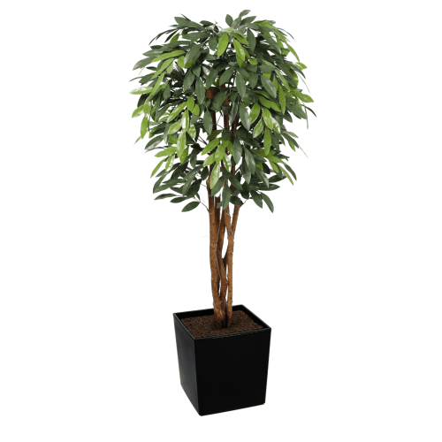 Premium UV MangoTree 150cm - Evergreen Direct