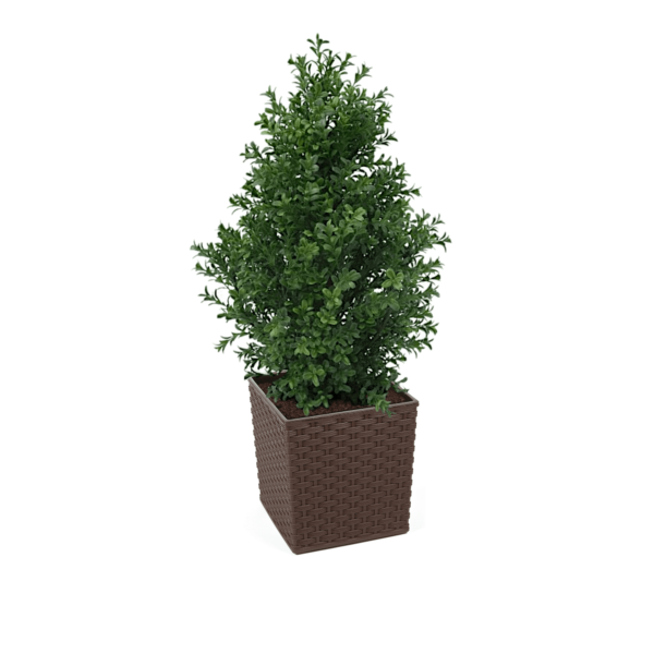 Artificial Buxus Shrub | Evergreen Direct