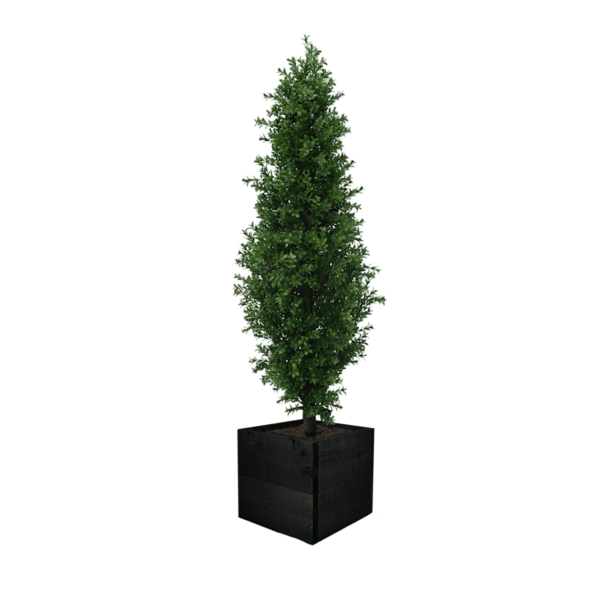 Artificial Buxus Shrub | Evergreen Direct