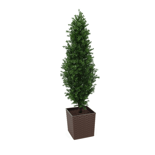 Artificial Buxus Shrub | Evergreen Direct