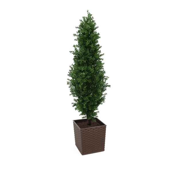 Artificial Buxus Shrub | Evergreen Direct