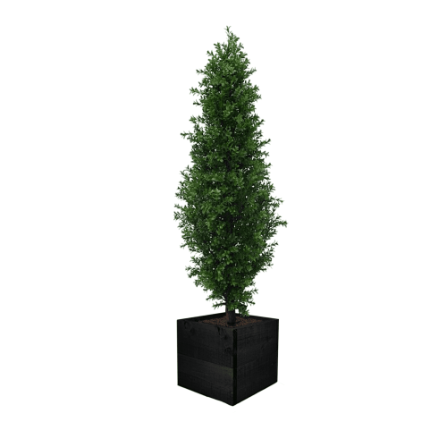 Artificial Topiary Cone at Evergreen Direct