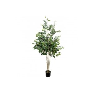 Artificial UV French FicusTree From Evergreen Direct