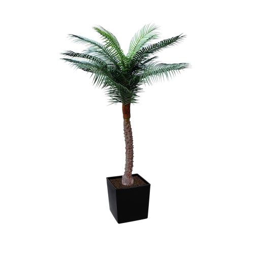 Artificial UV Beach Palm at Evergreen Direct