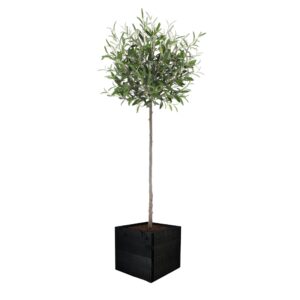 Artificial Tuscan Olive Tree - Evergreen Direct