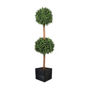 Deluxe Double Boxwood Ball Topiary Tree From Evergreen Direct