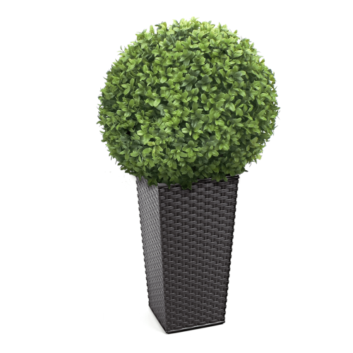 Artificial Buxus Ball From Evergreen Direct