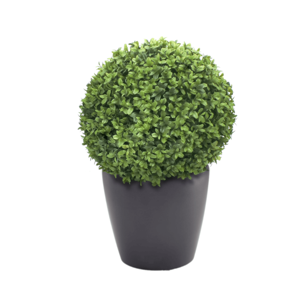 Artificial Buxus Ball From Evergreen Direct