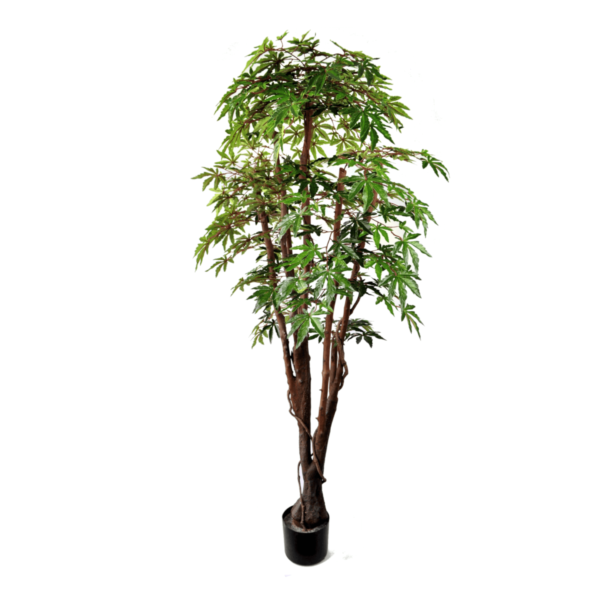 Artificial Green Maple Tree | Evergreen Direct