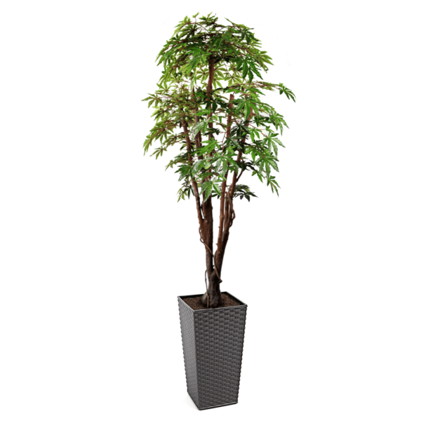 Artificial Green Maple Tree | Evergreen Direct