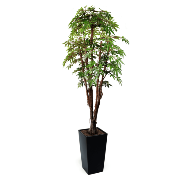 Artificial Green Maple Tree | Evergreen Direct