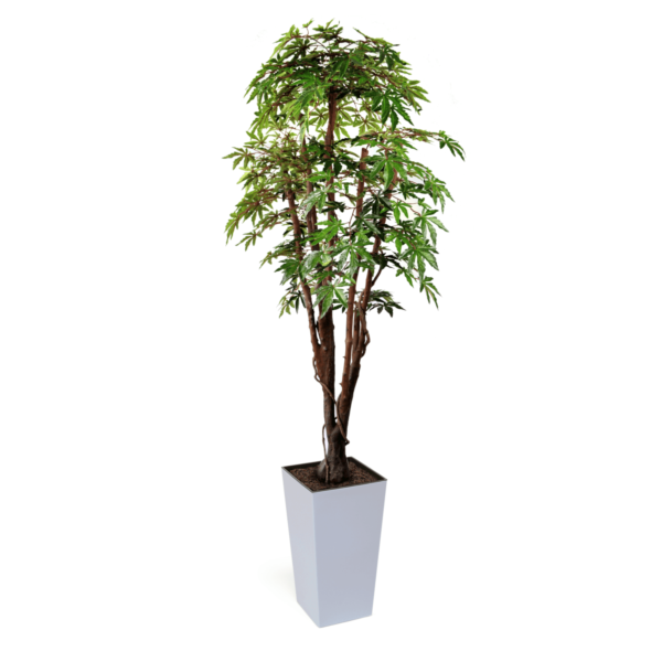 Artificial Green Maple Tree | Evergreen Direct