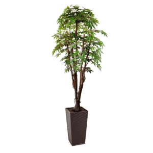 Artificial Green Maple Tree | Evergreen Direct