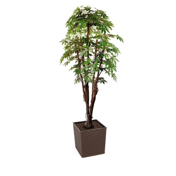 Artificial Green Maple Tree | Evergreen Direct