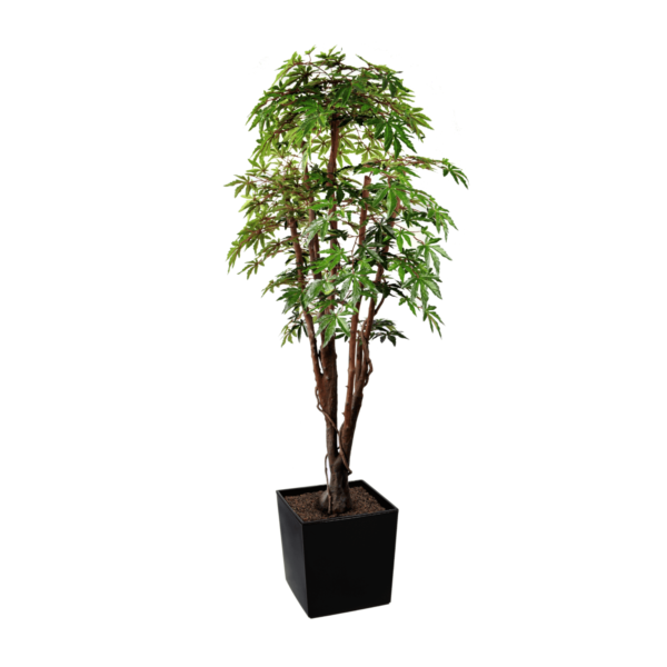 Artificial Green Maple Tree | Evergreen Direct