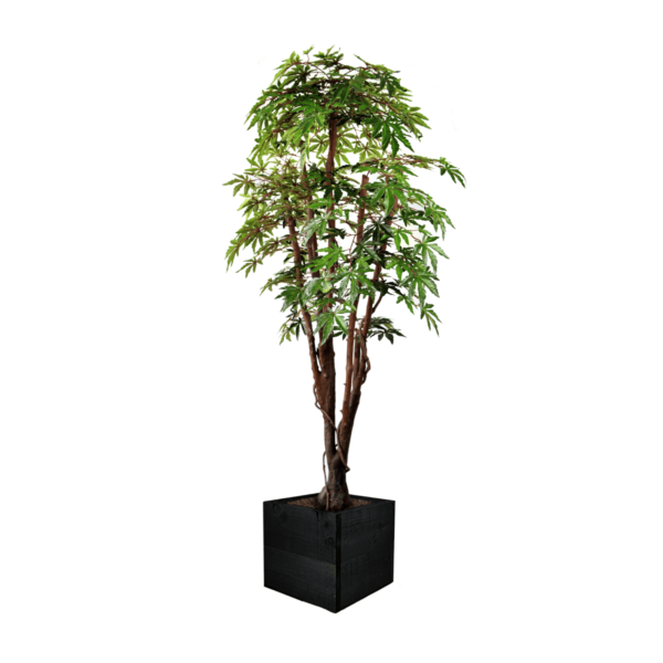 Artificial Green Maple Tree | Evergreen Direct