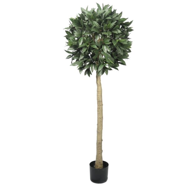 Artificial Bay Laurel Tree - Medium Lilia Black