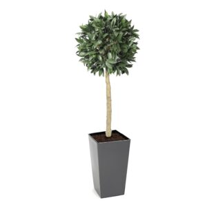 Artificial Bay Laurel Ball Tree | Evergreen Direct