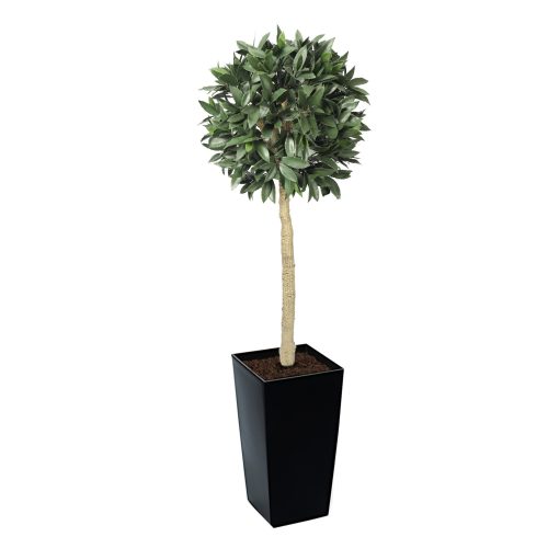 Artificial Bay Laurel Ball Tree | Evergreen Direct