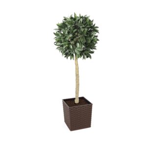 Artificial Bay Laurel Ball Tree | Evergreen Direct