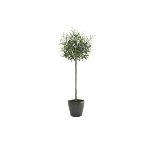 Artificial Tuscan Olive Tree 175cm- Medium Lilia Black