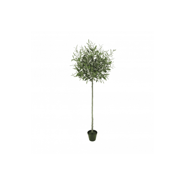 Artificial Tuscan Olive Tree - Evergreen Direct