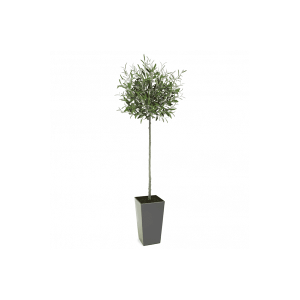 Artificial Tuscan Olive Tree - Evergreen Direct