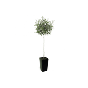 Artificial Tuscan Olive Tree - Evergreen Direct