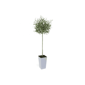 Artificial Tuscan Olive Tree - Evergreen Direct