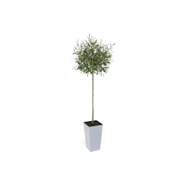 Artificial Tuscan Olive Tree - Evergreen Direct