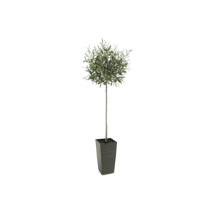 Artificial Tuscan Olive Tree - Evergreen Direct