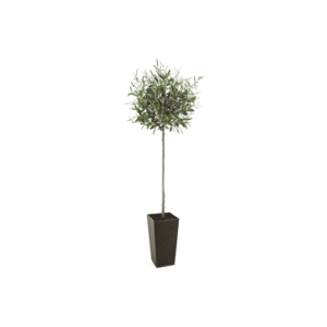 Artificial Tuscan Olive Tree - Evergreen Direct