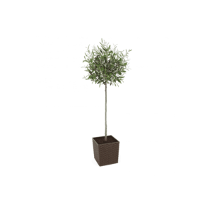 Artificial Tuscan Olive Tree - Evergreen Direct