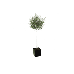 Artificial Tuscan Olive Tree - Evergreen Direct